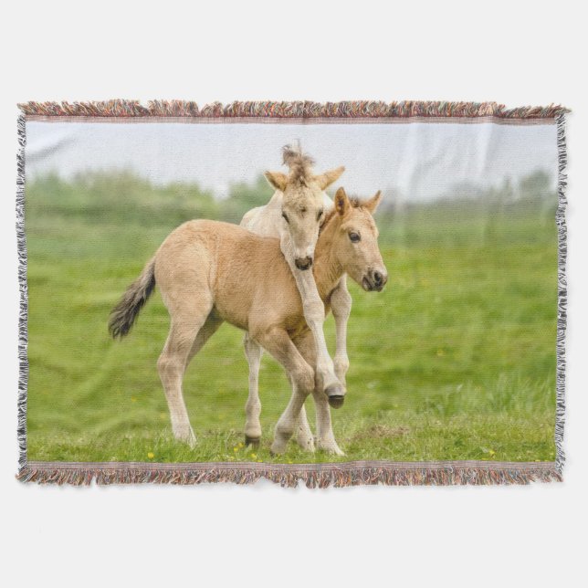 Manta Graciosos Y Salvajes Terneros De Caballos De Konik (Anverso)