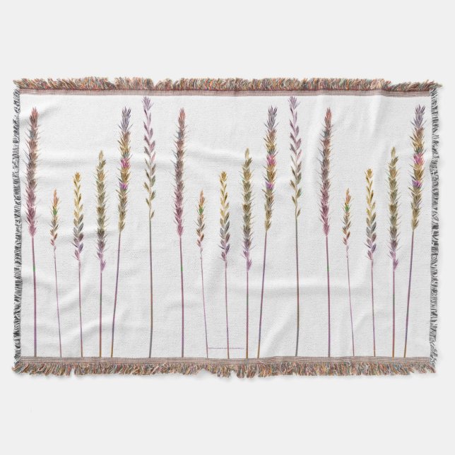 Manta Grasas coloreadas (Anverso)