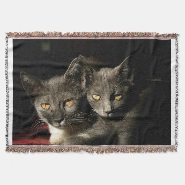 Manta Gray Cats Photo Throw Blanket (Anverso)