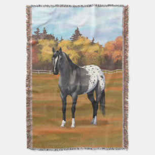 Manta Gray Grulla Appaloosa Quarter Stallion