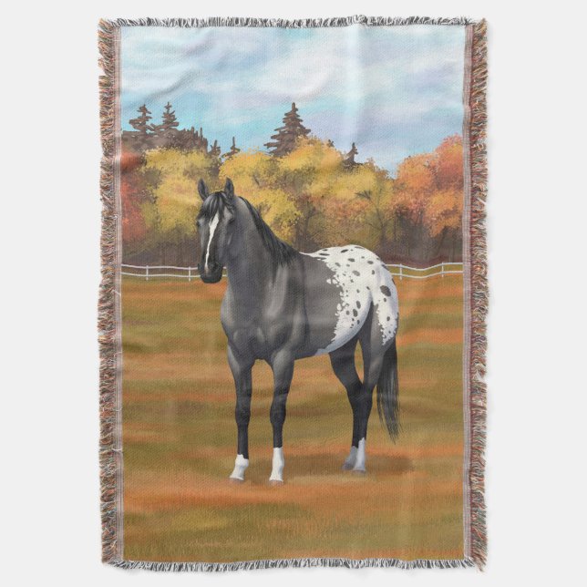 Manta Gray Grulla Appaloosa Quarter Stallion (Frente vertical)