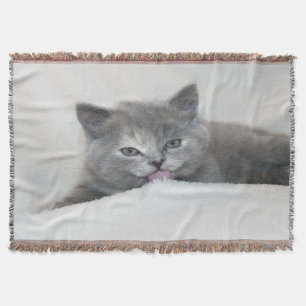 Manta Gray Kitten Liceo Nieve