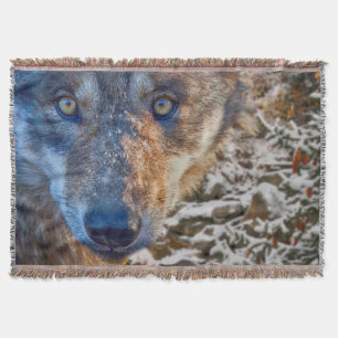 MANTA GRAY WOLF WINTER'S RANGER