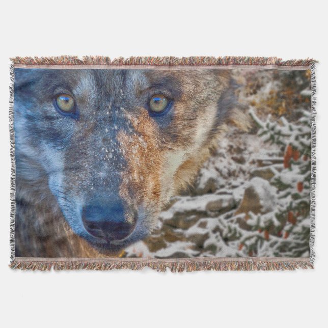 MANTA GRAY WOLF WINTER'S RANGER (Anverso)