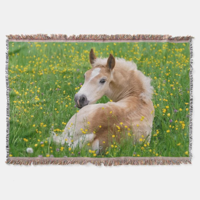 Manta Haflinger de caballos descansando en un lecho de f (Anverso)
