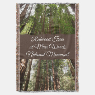 Manta Hasta secuoyas en el Monumento Nacional Muir Woods