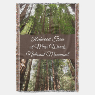 Manta Hasta secuoyas en el Monumento Nacional Muir Woods