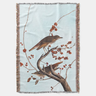 Manta Hermit Thrush Audubon Bird con Berries Rojas