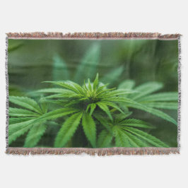 Manta Hermosa planta de maleza