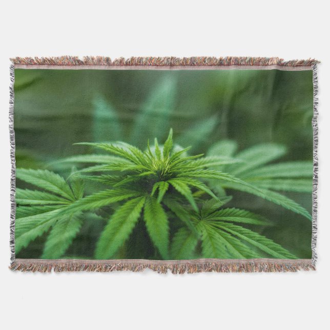 Manta Hermosa planta de maleza (Anverso)