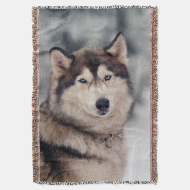 Manta Hermoso Husky al aire libre (Frente vertical)