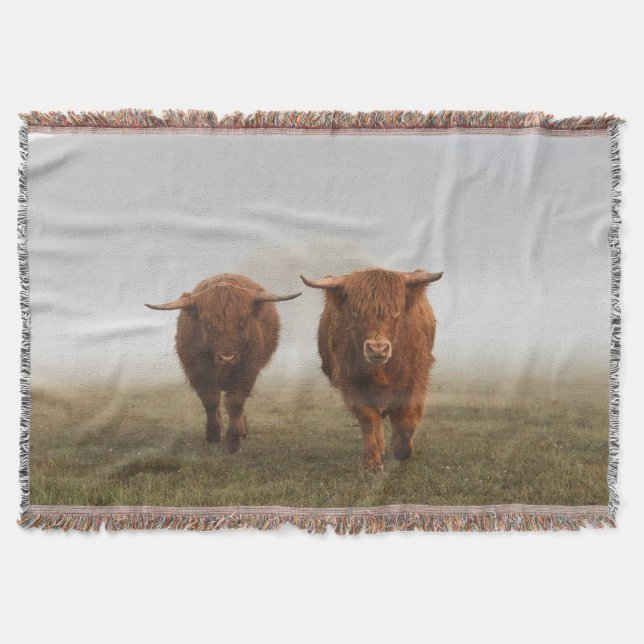 Manta Highland Cow Woven Blanket (Anverso)