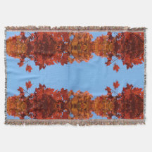 Hojas rojas otoñales y cielo azul