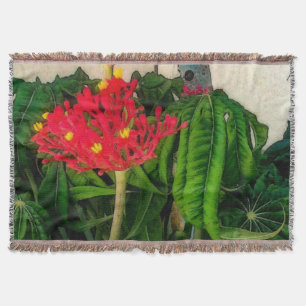 Manta Hojas y flores de la planta de coral