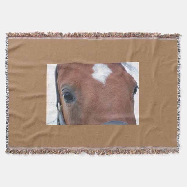 Manta Horse Whisperer (Anverso)