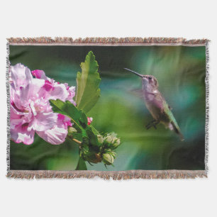 Manta Hummingbird - Fotografía original