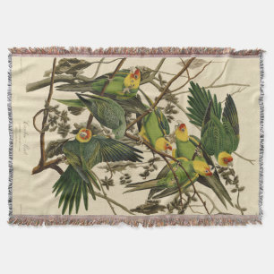 Manta Ilustracion Audubon Carolina Parrot Bird