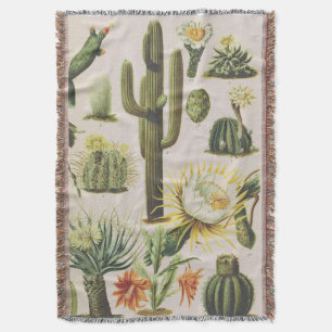 Manta Ilustracion de Cactus Botánico Vintage