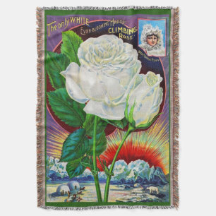 Manta ilustracion de catálogo rosa de los años 1890 Whit