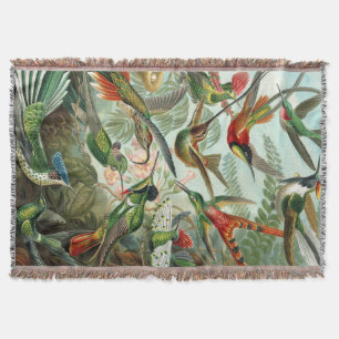 Manta Impresión de arte Ernst Haeckel: Trochilidae