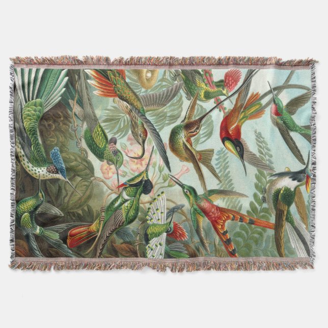 Manta Impresión de arte Ernst Haeckel: Trochilidae (Anverso)