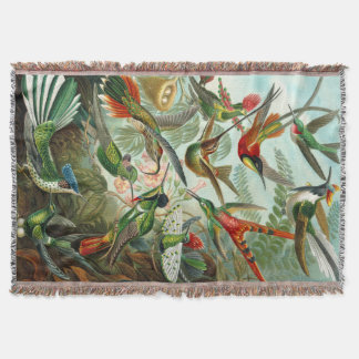 Manta Impresionante impresión de colibríes de Ernst Haec