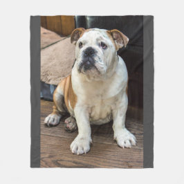 Manta inglesa del bulldog
