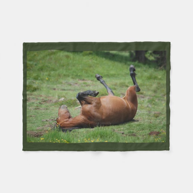 manta _ italia _ parque natural de aveto _ caballo (Frente (Horizontal))