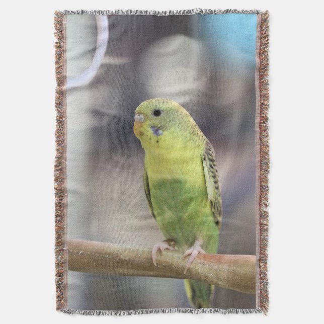 Manta Kiwi Burbell (Frente vertical)