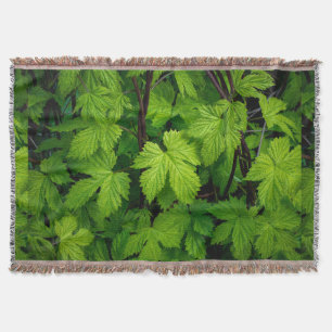 Manta La belleza de la naturaleza de las viñas verdes