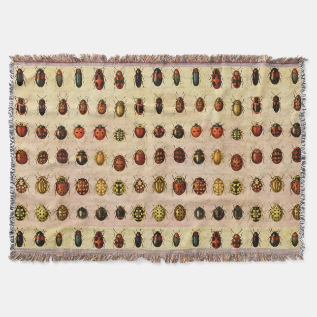 Manta Ladybug Ladybird Beetle Insect Bug (Anverso)