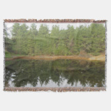 Lago de reflexión de árbol de pino