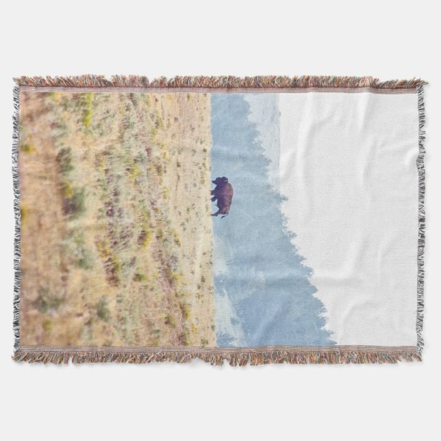 Manta Lamar (Anverso)