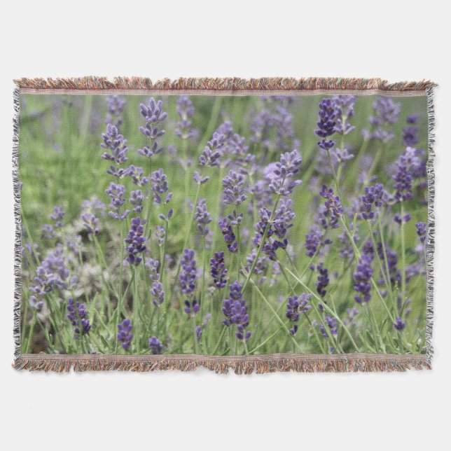 Manta Lavanda (Anverso)