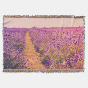 Manta Lavander