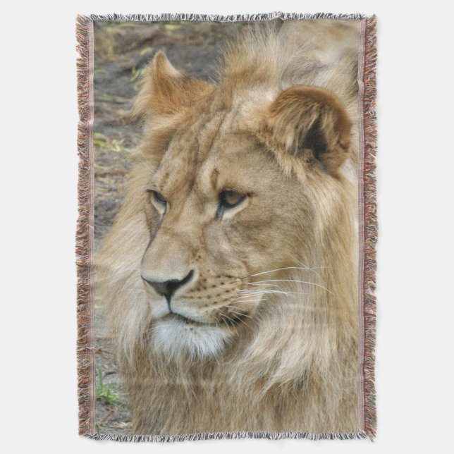 Manta León 011 (Frente vertical)