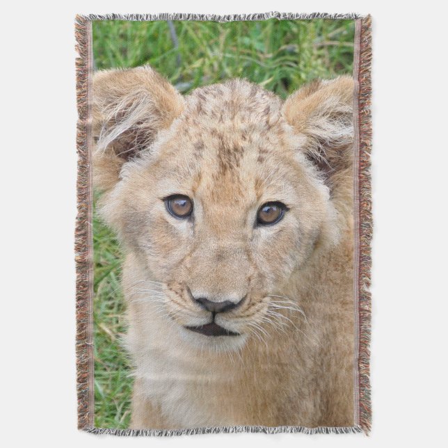 Manta León 016 (Frente vertical)