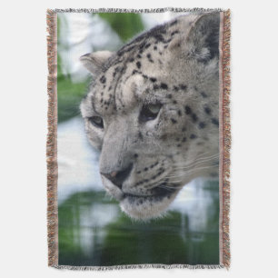 Manta Leopard 003