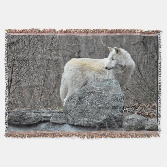 Manta Lobo (Anverso)