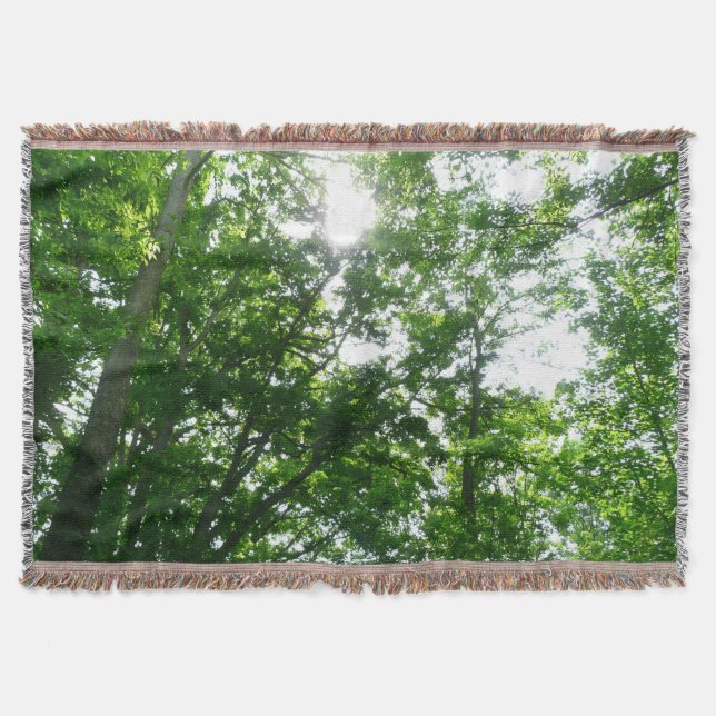 Manta Looking Up to Summer Trees (Anverso)