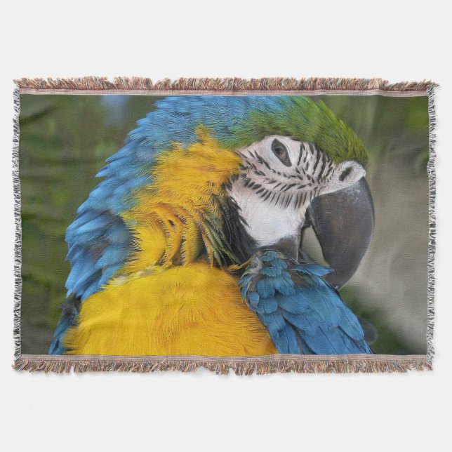 Manta Loro Azul y Dorado (Anverso)