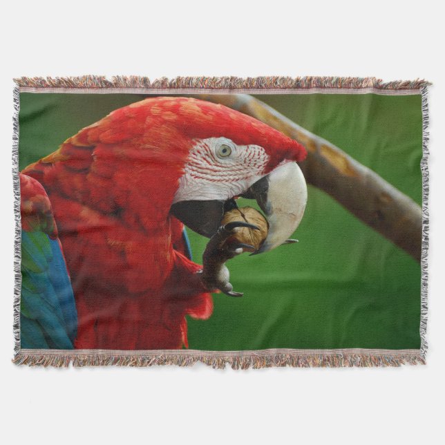 Manta Loro Rojo Tropical (Anverso)