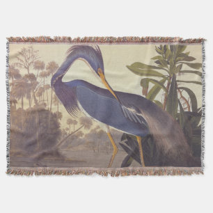 Manta Lousiana Heron en gris, verde y azul de Audubon