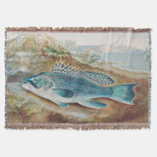 Manta Lubina por S.A. Kilbourne, Pescado Antiguo