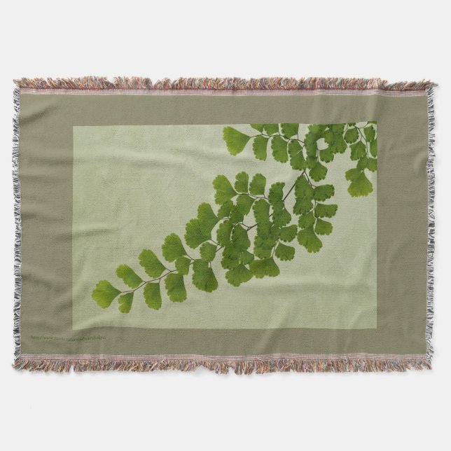 Manta Maiden Hair Fern Frond (Anverso)