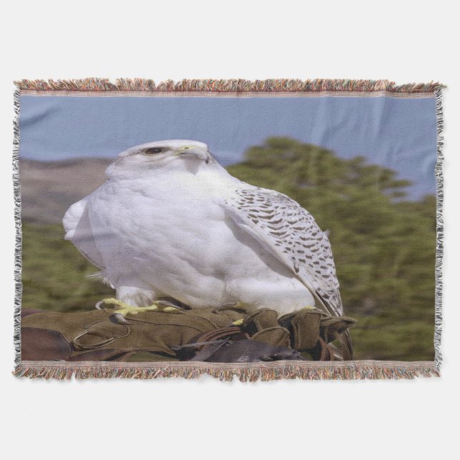 Manta Majestic Gyrfalcon (Anverso)