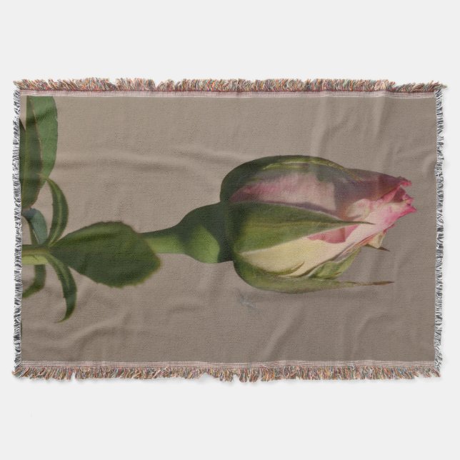 Manta Manta/Manta de lanzamiento/Rosa roja capullo (Anverso)