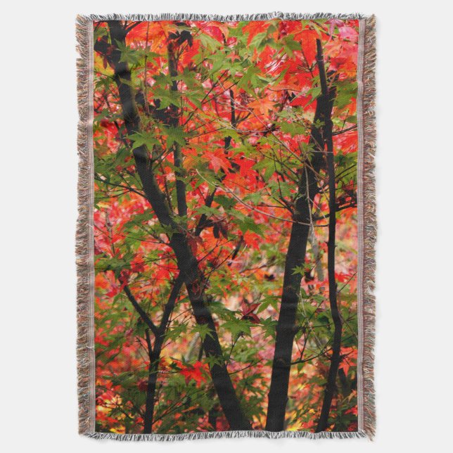 Manta Maple japonés (Frente vertical)