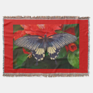 Manta Mariposa de Belleza Negra