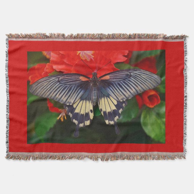 Manta Mariposa de Belleza Negra (Anverso)